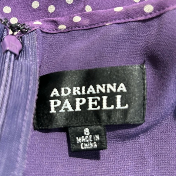 ADRIANNA PAPELL Sz 8 100% Silk Ruched Bodice A-Line Lined Sheath Maxi Dress - Picture 14 of 14